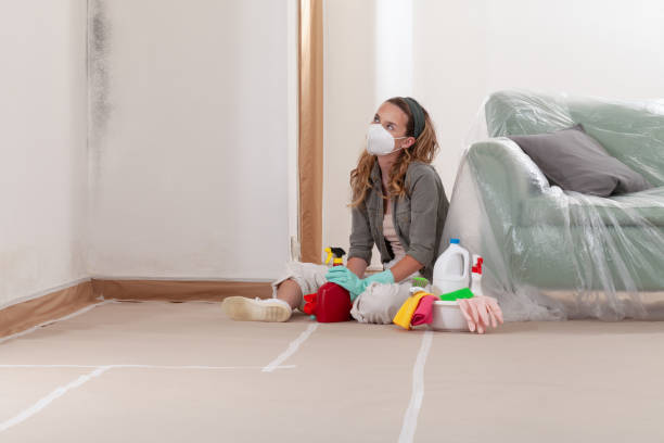 Reliable Basement Mold Removal contractor in Christmas, FL by WQB Mold Removal